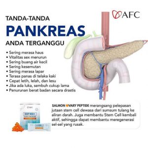 Pankreas